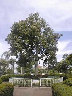 Rumah tetamu @ Kinta Riverfront